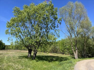 działka na sprzedaż 4000m2 działka Pustelnik, Graniczna