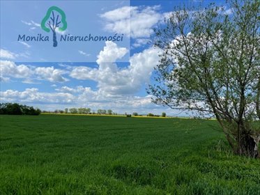 działka na sprzedaż 26000m2 działka Czatkowy