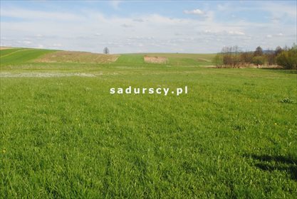 Działka rolna na sprzedaż Ściborzyce 34 334m2 Foto 6