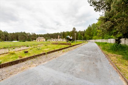 Działka inwestycyjna na sprzedaż Gucin 17 775m2 Foto 5