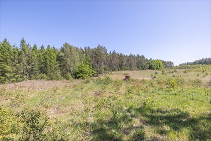 działka na sprzedaż 1000m2 działka Tłuczewo