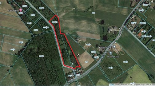 Działka budowlana na sprzedaż Przyjaźń 14 260m2 Foto 3