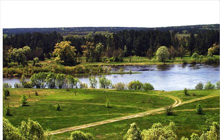 działka na sprzedaż 3100m2 działka Mielnik