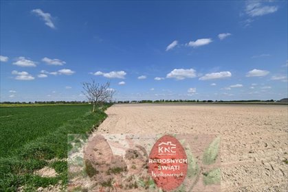 działka na sprzedaż 4200m2 działka Stoczek