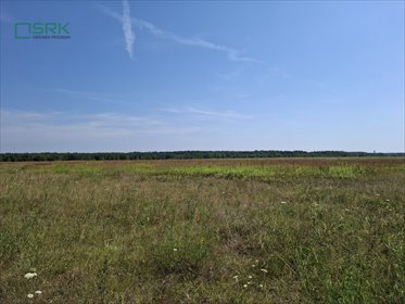 działka na sprzedaż 481833m2 działka Gierałtowice, Gierałtowice, Kłodnicka