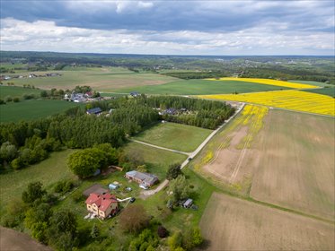 Działka 1500 m² w Lisewcu – prywatność i szerokie możliwości działka Lisewiec, Rajska