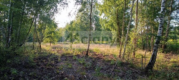 działka na sprzedaż 2000m2 działka Czarny Las