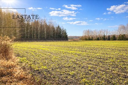 działka na sprzedaż 3004m2 działka Harsz