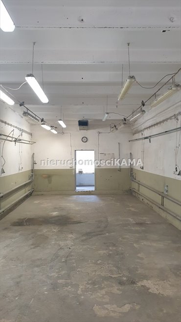 magazyn na wynajem 500m2 magazyn Czechowice-Dziedzice