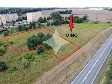 działka na sprzedaż 2005m2 działka Chojnów