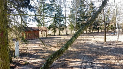 działka na sprzedaż 1656m2 działka Poznań, Szczepankowo, Szczepankowo