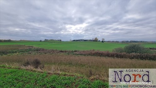 Działka 1,35 ha w Marynowie (spokojne otoczenie, wodociąg) działka Marynowo