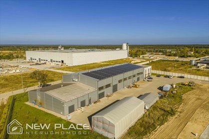 lokal użytkowy na wynajem 1947m2 lokal użytkowy Błonie, Maszynowa