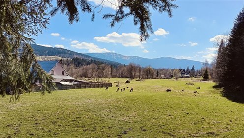 dom na sprzedaż 56m2 dom Zawoja