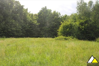 działka na sprzedaż 5113m2 działka Orłowice, Orłowice