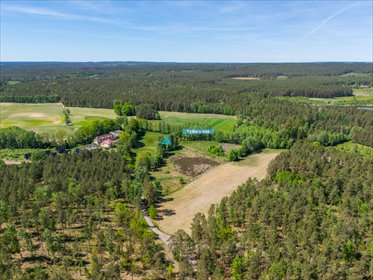 Działka rekreacyjna 7 900 m² w Kłącznie – cicha okolica działka Kłączno