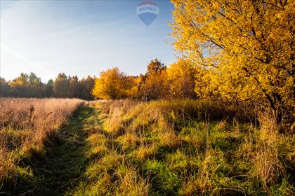Dom na sprzedaż Jawornik 240m2 Foto 5