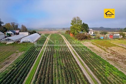 działka na sprzedaż 10017m2 działka Zezulin Niższy, Zezulin