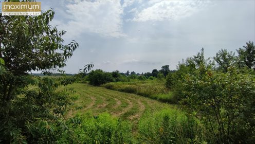 działka na sprzedaż 8400m2 działka Gózd Lipiński
