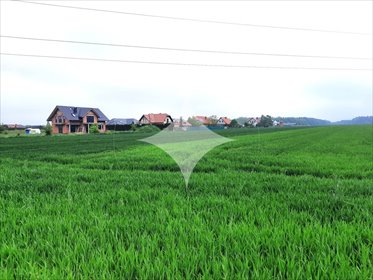 działka na sprzedaż 3000m2 działka Łaziska