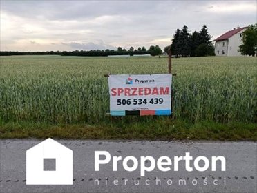 Działka 7000 m² z mediami i asfaltowym wjazdem działka Ziółków