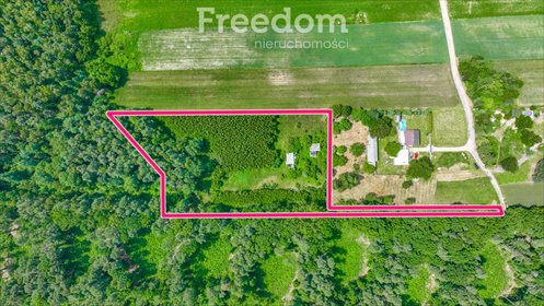 Zapraszam do obejrzenia działki 10 508 m² z mediami i naturalnym zalesieniem działka Mokra