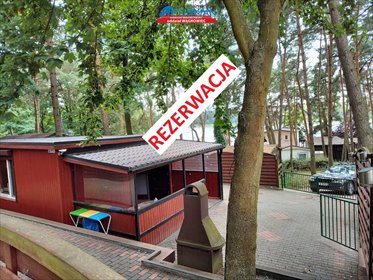 dom na sprzedaż 38m2 dom Grzybowo