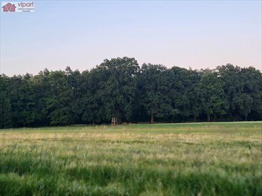 Duża działka inwestycyjna w Wilkowyjach z potencjałem działka Tychy, Wilkowyje