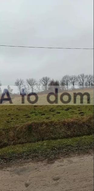 Zapraszam do zakupu działki usługowo-mieszkalnej 3 223 m² z mediami działka Stary Dybów