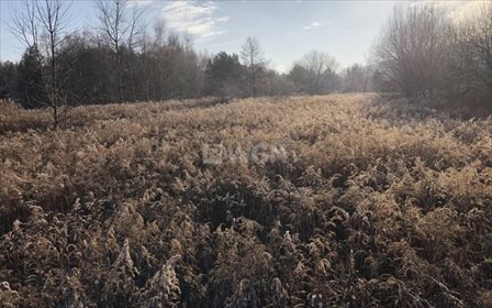 działka na sprzedaż 2112m2 działka Zagórze, Czerwona Górka