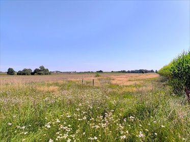 działka na sprzedaż 5823m2 działka Żytowice