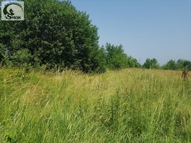 działka na sprzedaż 8300m2 działka Myślenice