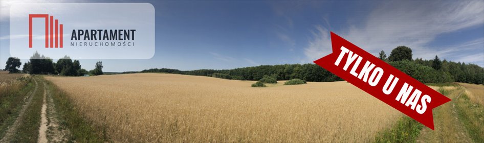Działka rolna na sprzedaż Kamierowskie Piece, Trzcianka 28 500m2 Foto 1
