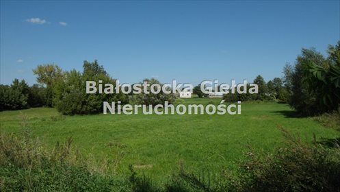 Dom na sprzedaż Kulesze 355m2 Foto 7