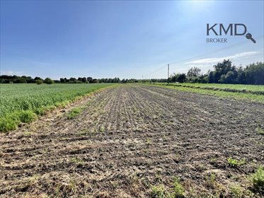 działka na sprzedaż 5000m2 działka Bystrzyca