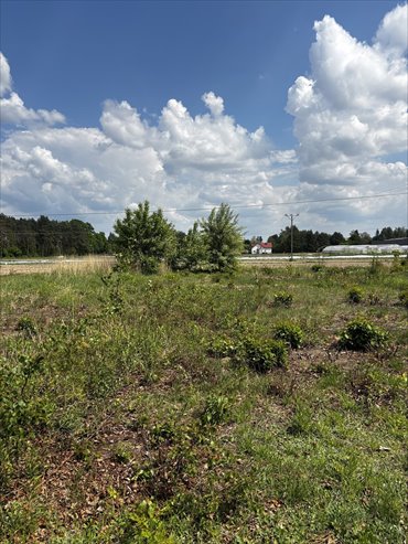 Działka budowlana 1135 m² w Grądach – blisko natury działka Grądy
