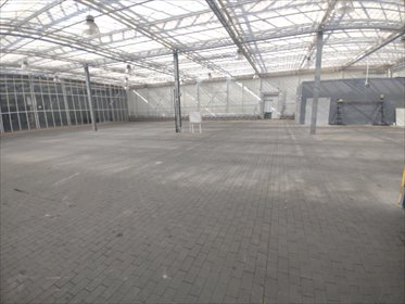 lokal użytkowy na wynajem 1500m2 lokal użytkowy Owińska