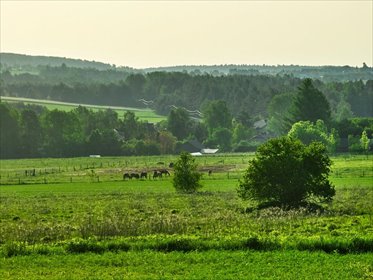 Do sprzedania atrakcyjne działki 800 m² pod dom i inwestycję działka Zawiercie, Atrakcyjne działki pod dom i inwestycję blisko natury