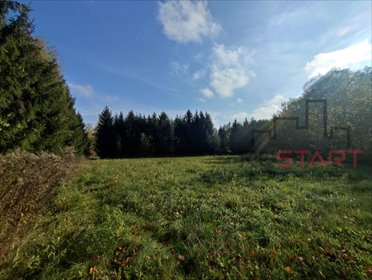 działka na sprzedaż 4200m2 działka Cholewy