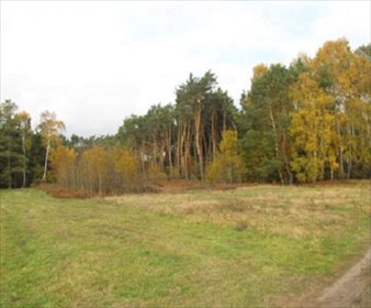 działka na sprzedaż 4200m2 działka Stawiszyn, Zbiersk