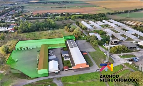 lokal użytkowy na wynajem 2400m2 lokal użytkowy Wawrów