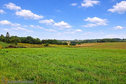 działka na sprzedaż 3000m2 działka Smardzowice