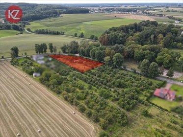 działka na sprzedaż 3797m2 działka Brzostowo