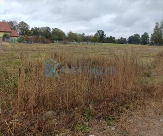 Działka budowlana 1300 m2 z prądem i blisko drogi działka Łosie