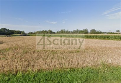 działka na sprzedaż 2996m2 działka Stare Faszczyce