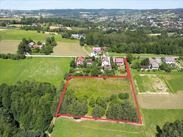 Działka 46 arów w Tuchowie - blisko lasu i miasta działka Tuchów