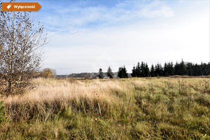 działka na sprzedaż 1726m2 działka Leszyce