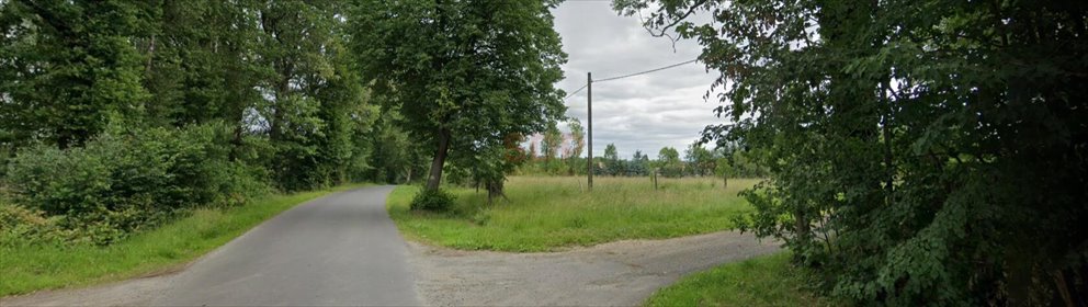 działka na sprzedaż 4254m2 działka Grabiszyce Górne