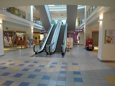 Wynajmę atrakcyjny lokal 20 m² z witryną w centrum Gorzowa lokal użytkowy Gorzów Wielkopolski, Śródmieście