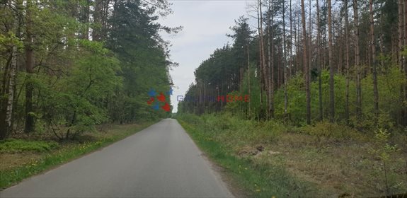 Działka 4000 m² pod zabudowę (las, media) w Prace Duże działka Prace Duże